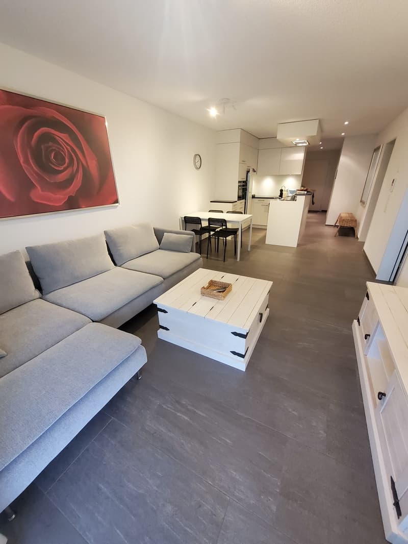 Möblierte Gartenwohnung mit Einzelgarage und Vorplatz (1)