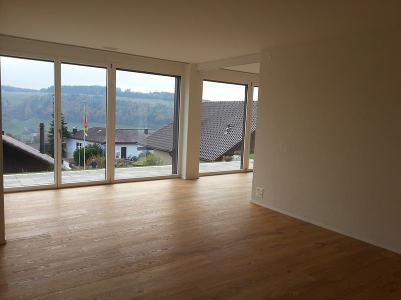 Wunderschöne Wohnung mit Gartensitzplatz in Boll (1)