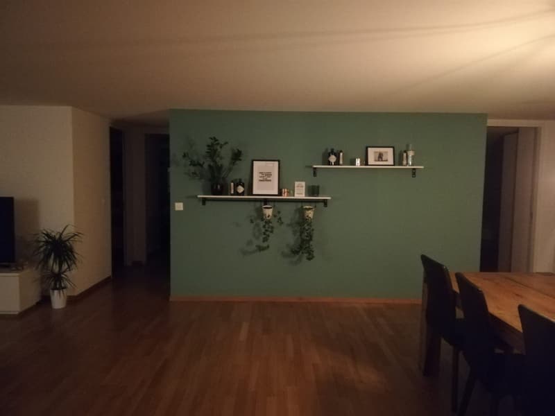 WG Zimmer Luzern (Ende September bis Ende Dezember) (4)