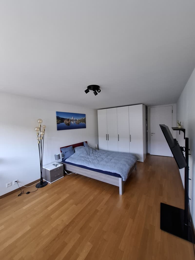 WG Zimmer Luzern (Ende September bis Ende Dezember) (2)