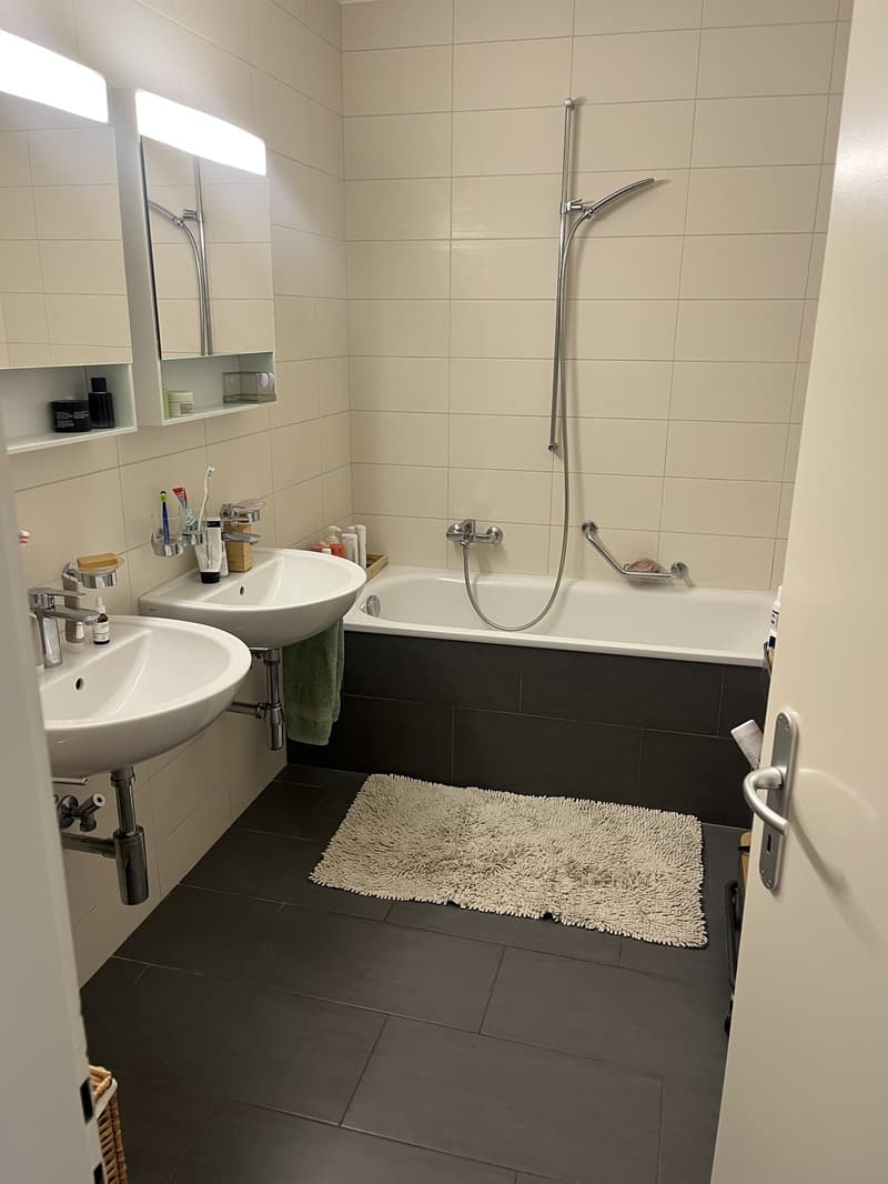 Magnifique appartement de 5,5 pièces (8)