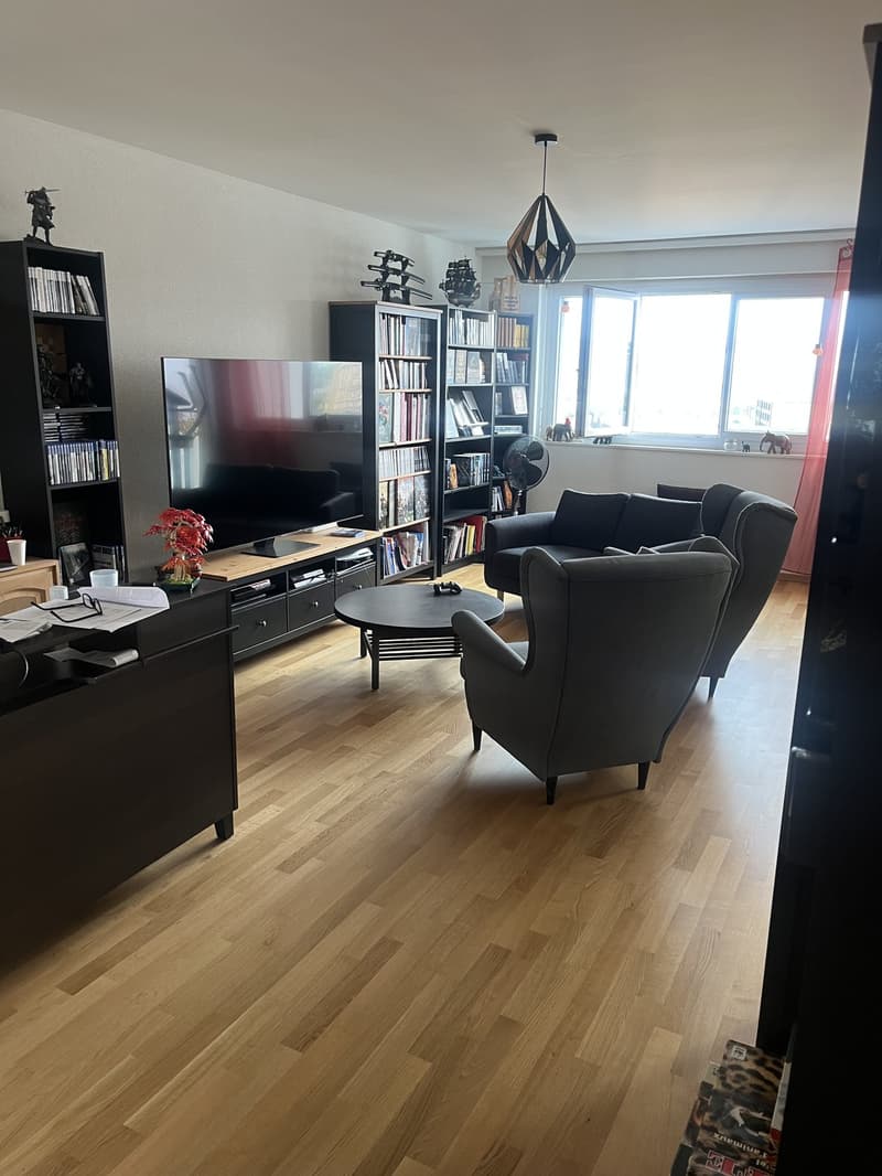 Magnifique appartement de 5,5 pièces (3)