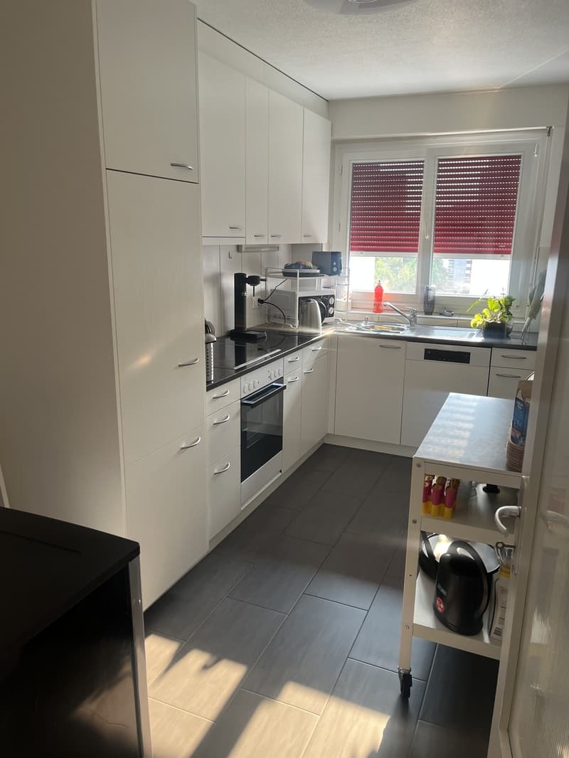 Magnifique appartement de 5,5 pièces (5)