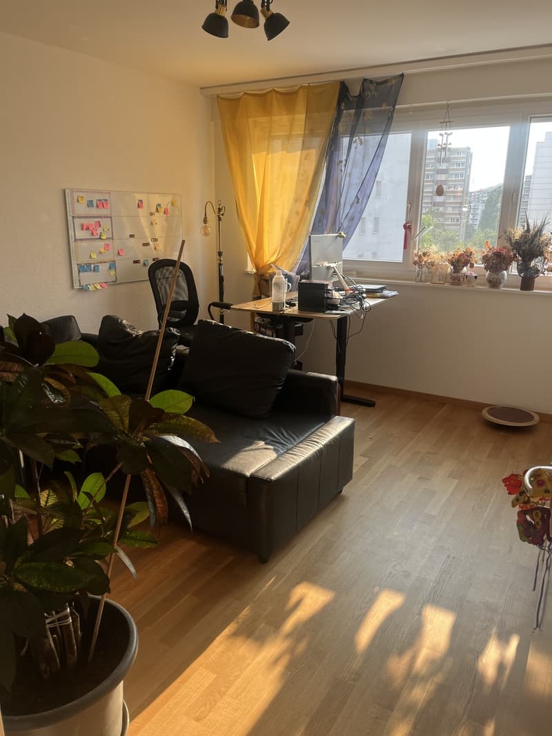 Magnifique appartement de 5,5 pièces (9)