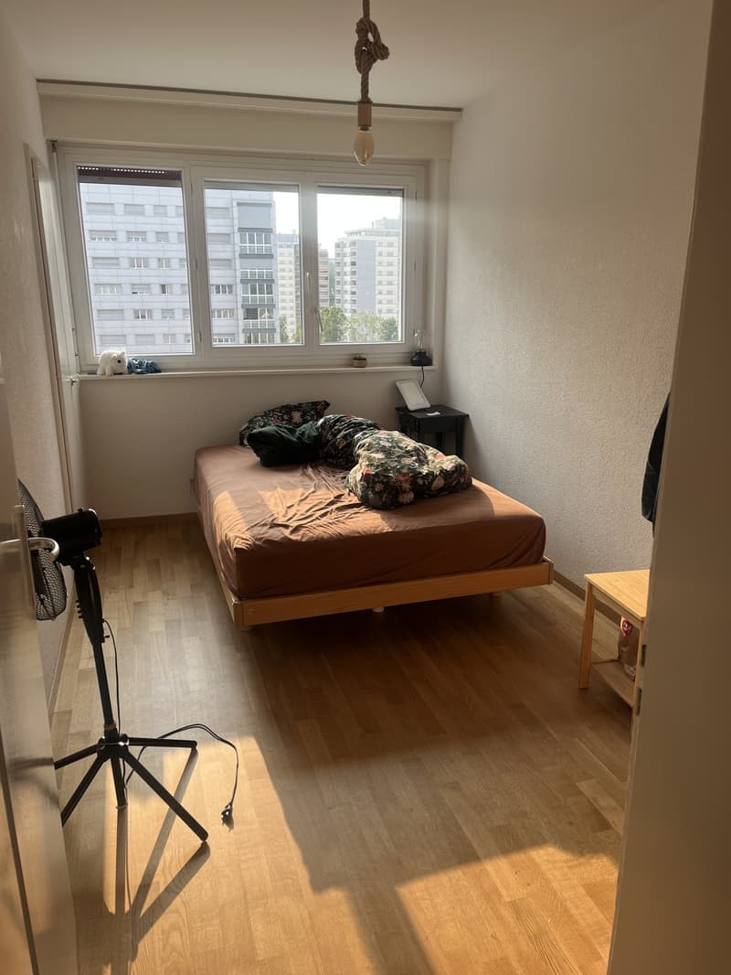 Magnifique appartement de 5,5 pièces (10)