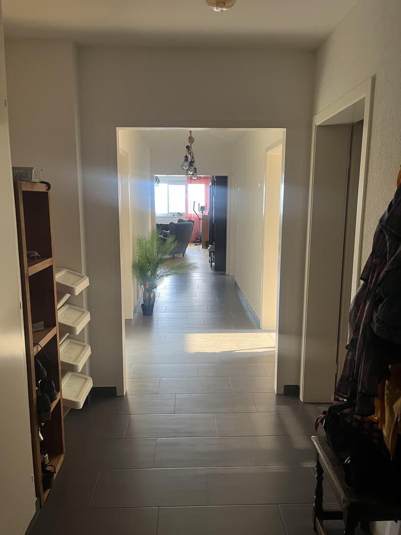 Magnifique appartement de 5,5 pièces (12)
