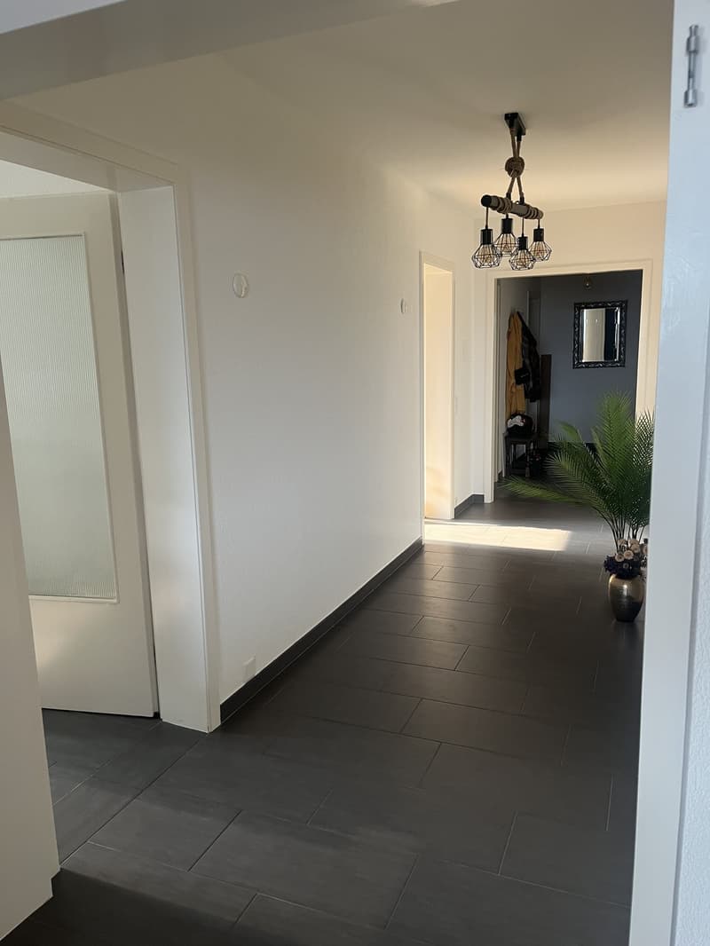 Magnifique appartement de 5,5 pièces (6)
