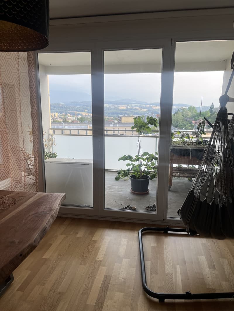 Magnifique appartement de 5,5 pièces (4)