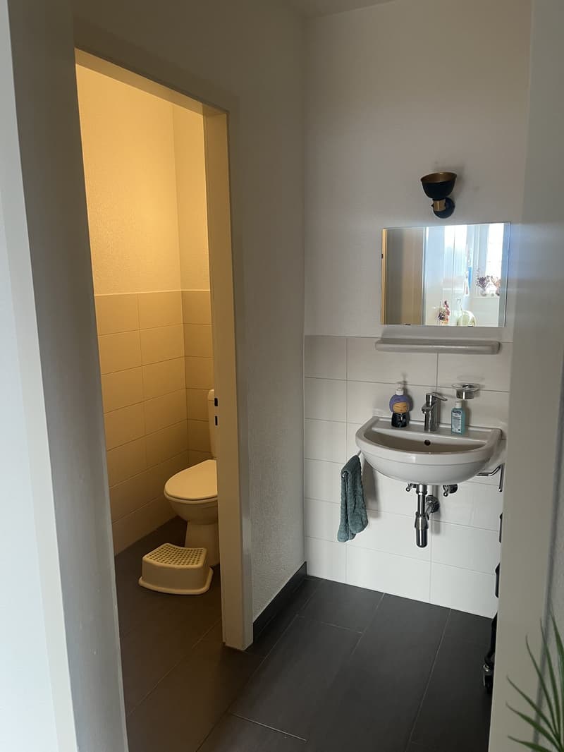 Magnifique appartement de 5,5 pièces (7)