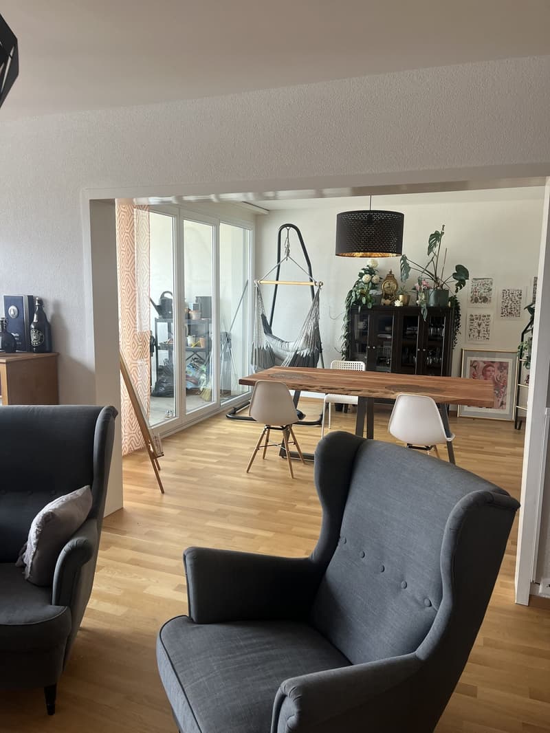 Magnifique appartement de 5,5 pièces (2)