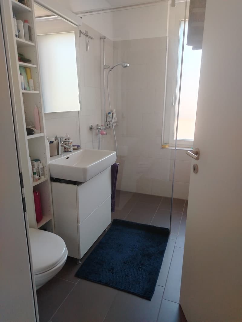 2,5 Zimmer-Wohnung, verfügbar ab dem 16.September (6)