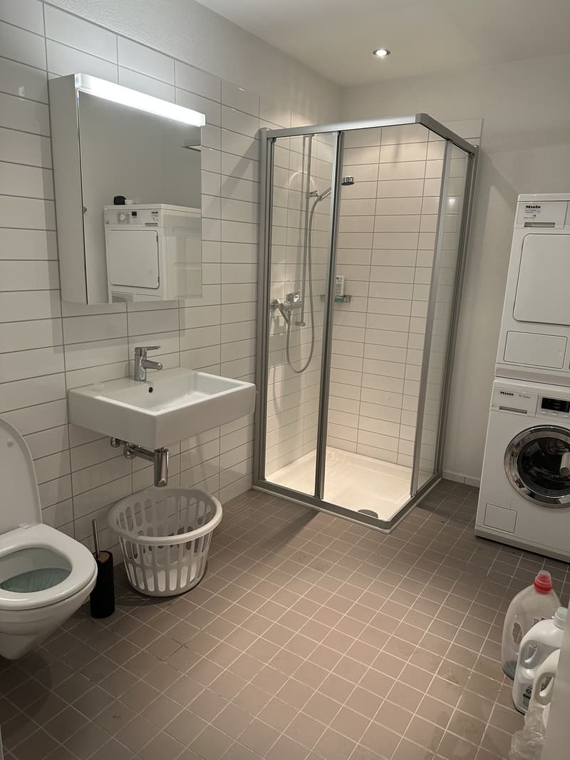 Flat share in Zug (2)