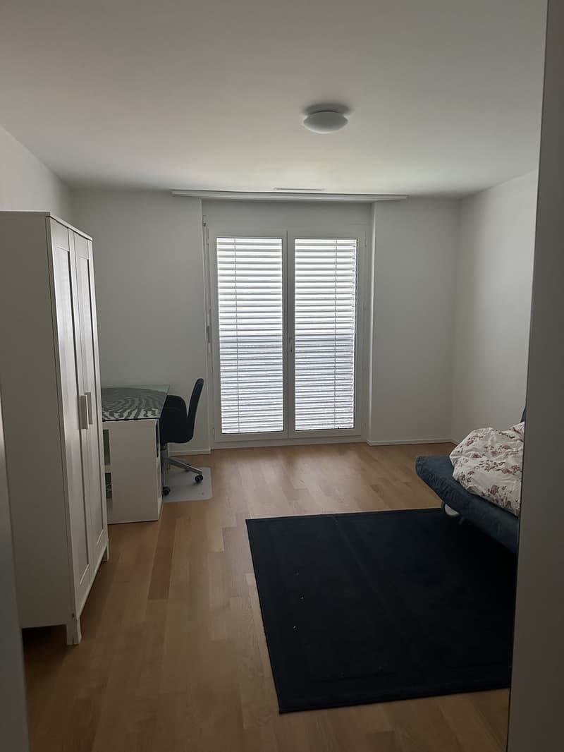 Flat share in Zug (1)