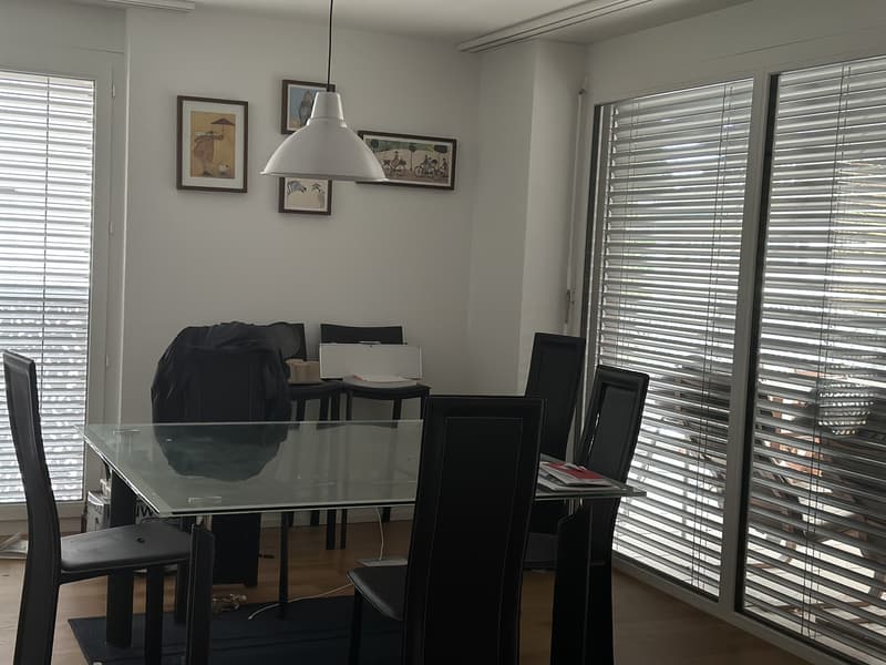 Flat share in Zug (5)