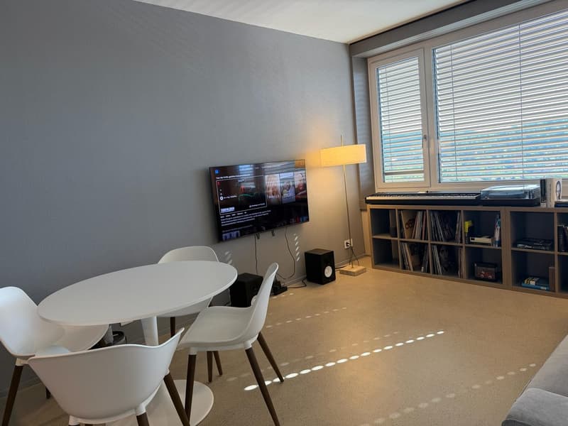 Moderne 2-Zimmer-Wohnung mit atemberaubendem Ausblick in Oerlikon (2)