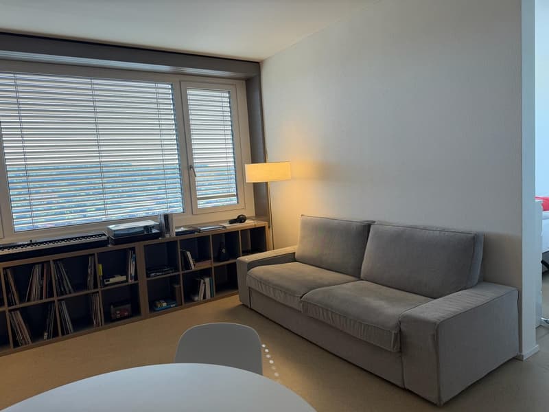 Moderne 2-Zimmer-Wohnung mit atemberaubendem Ausblick in Oerlikon (3)