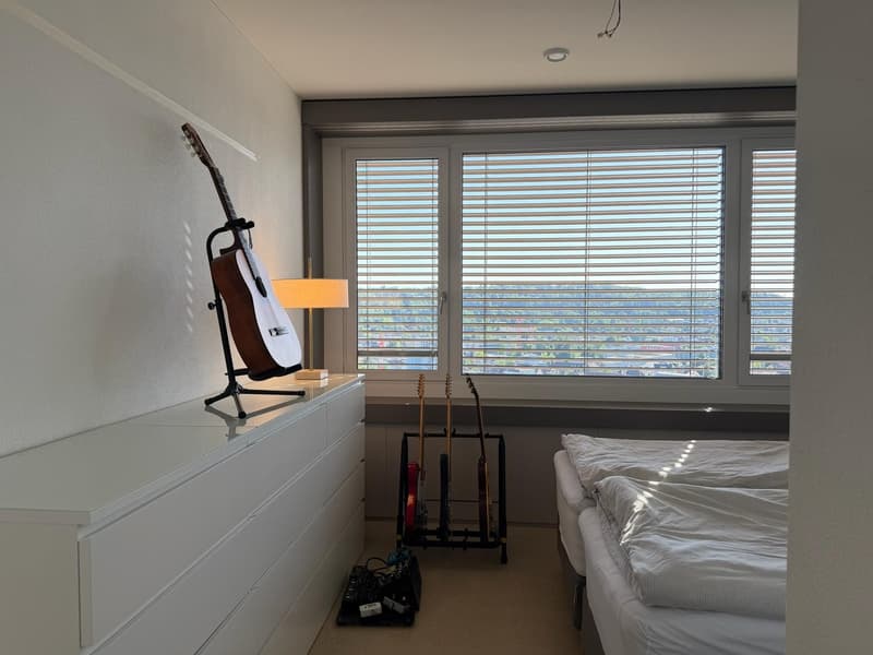 Moderne 2-Zimmer-Wohnung mit atemberaubendem Ausblick in Oerlikon (11)