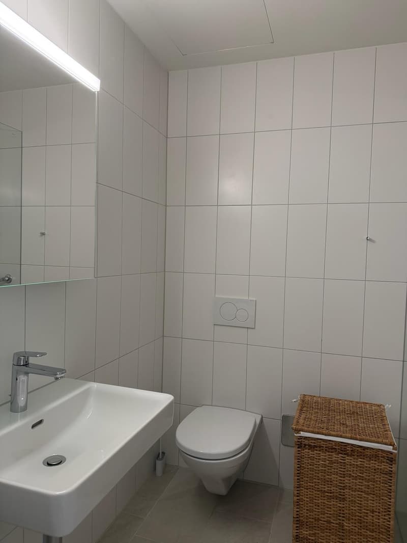 Moderne 2-Zimmer-Wohnung mit atemberaubendem Ausblick in Oerlikon (8)