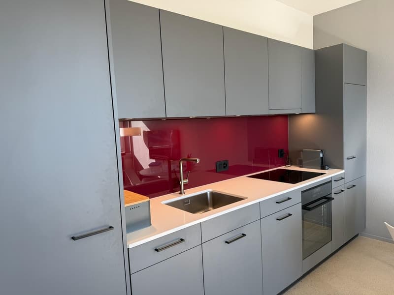 Moderne 2-Zimmer-Wohnung mit atemberaubendem Ausblick in Oerlikon (6)
