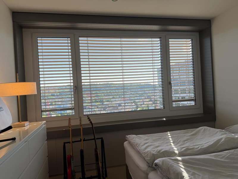 Moderne 2-Zimmer-Wohnung mit atemberaubendem Ausblick in Oerlikon (5)