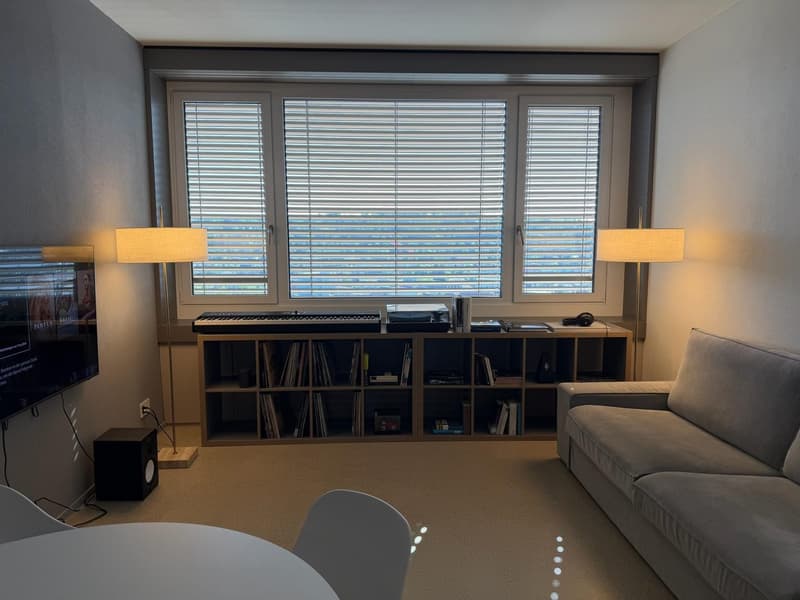 Moderne 2-Zimmer-Wohnung mit atemberaubendem Ausblick in Oerlikon (1)