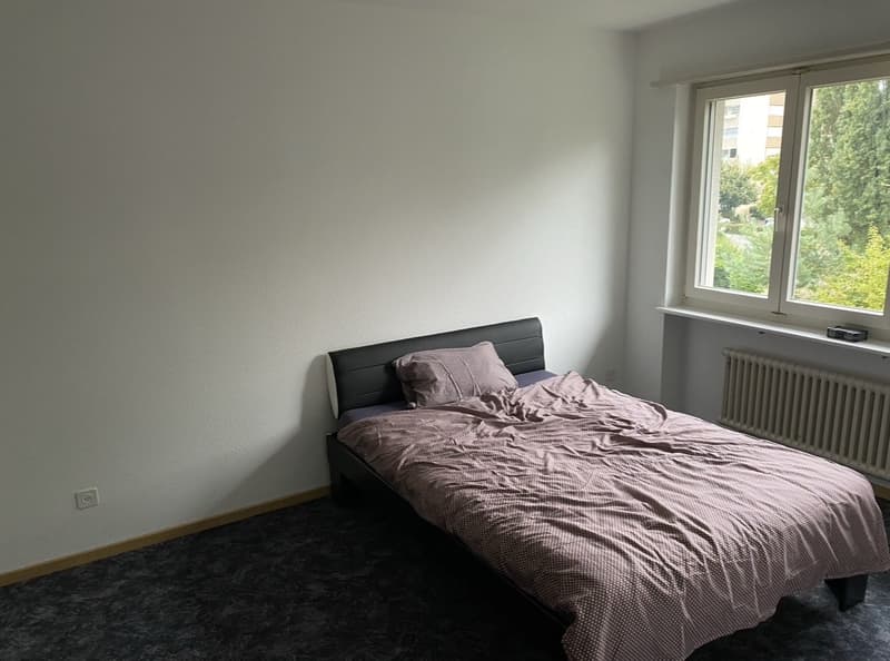 Nachmieter Gesucht (3)