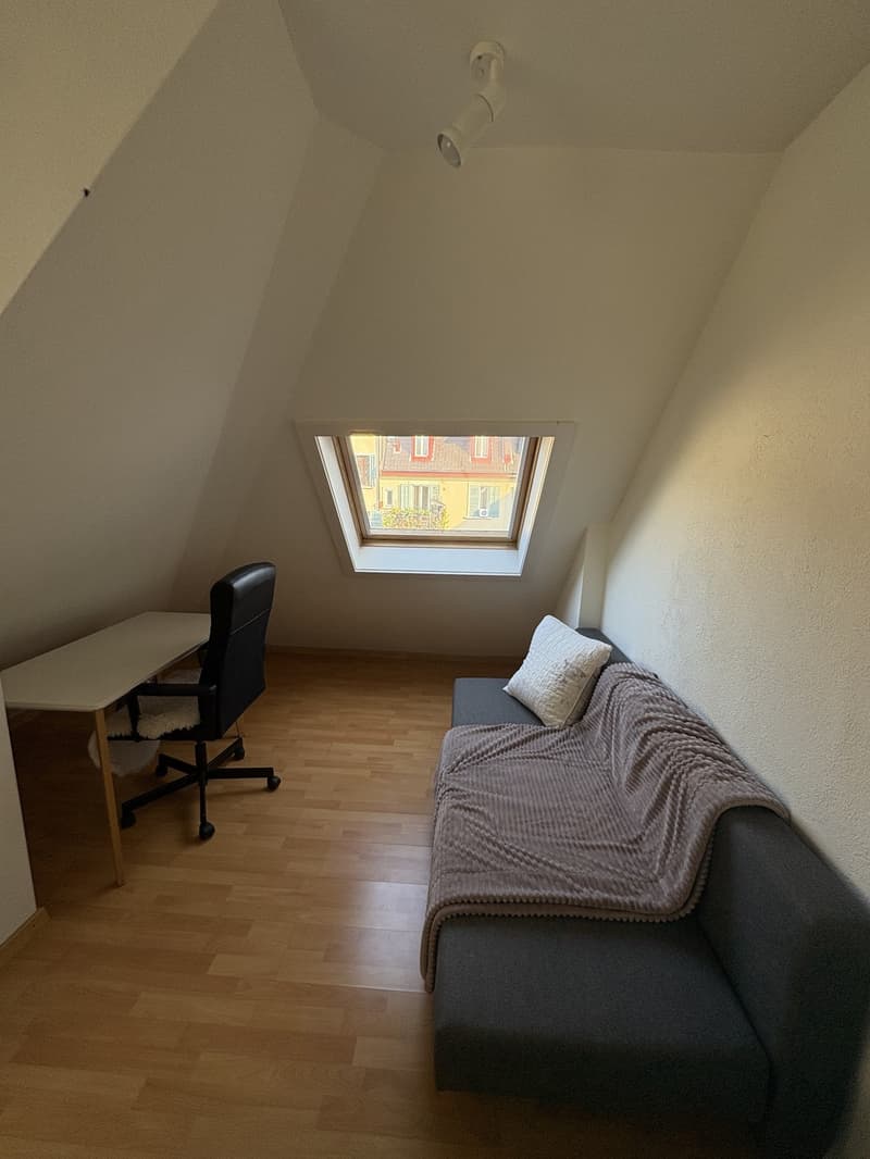 Altbauwohnung im Herzen von Luzern (5)