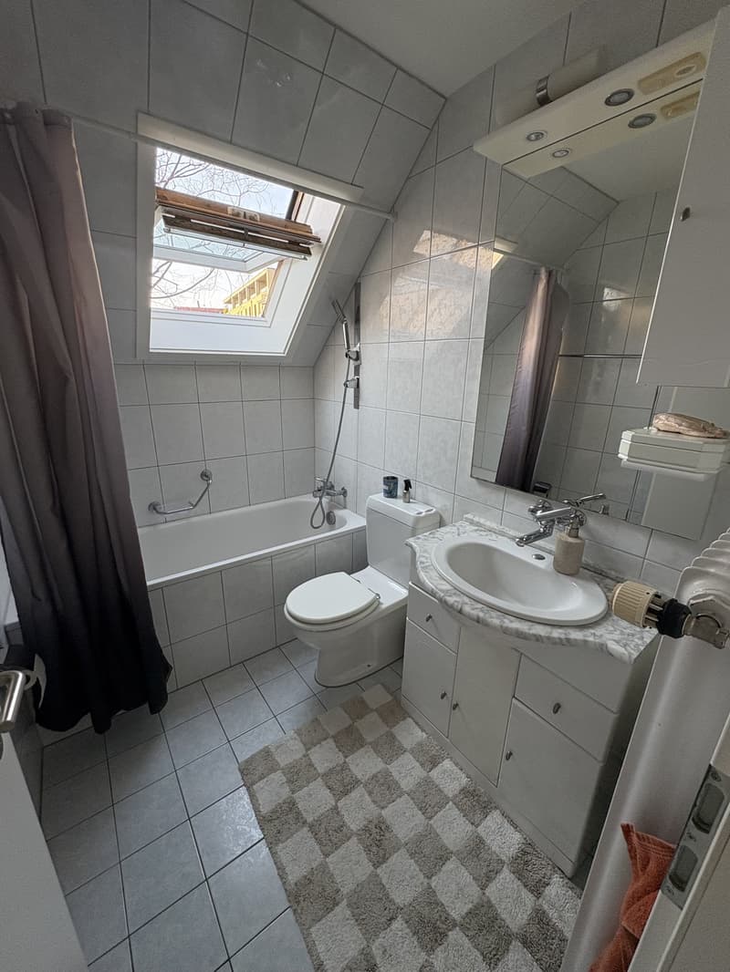 Altbauwohnung im Herzen von Luzern (4)
