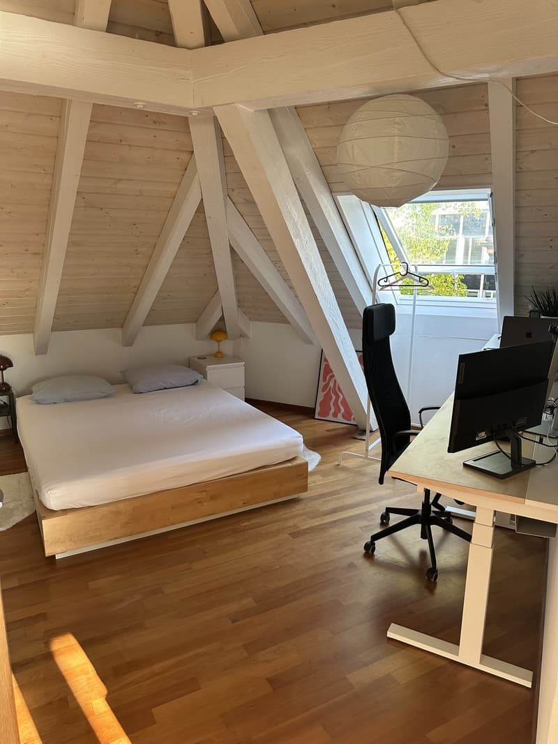 Bright Apartment near the Limmat (Kreis 6) (11)