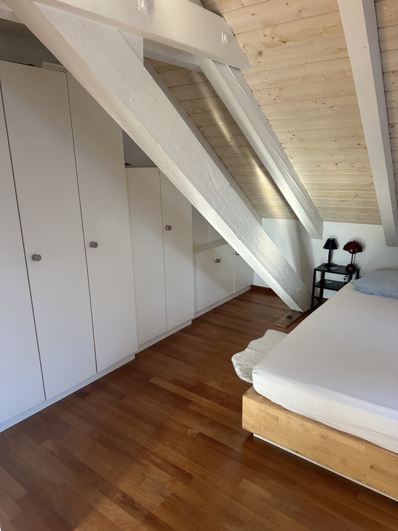 Bright Apartment near the Limmat (Kreis 6) (9)