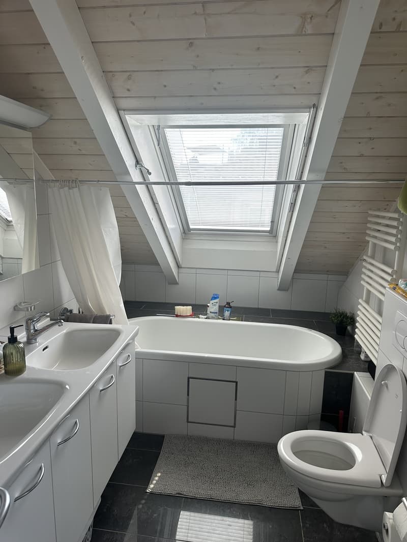 Bright Apartment near the Limmat (Kreis 6) (12)