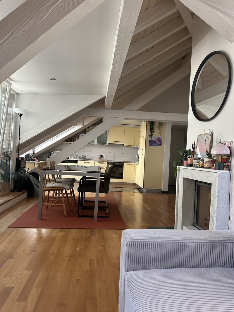 Bright Apartment near the Limmat (Kreis 6) (6)