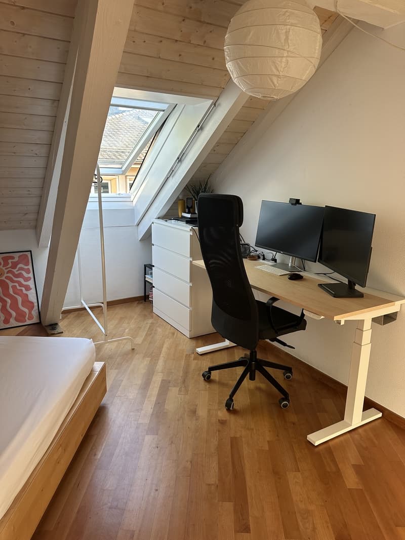 Bright Apartment near the Limmat (Kreis 6) (10)