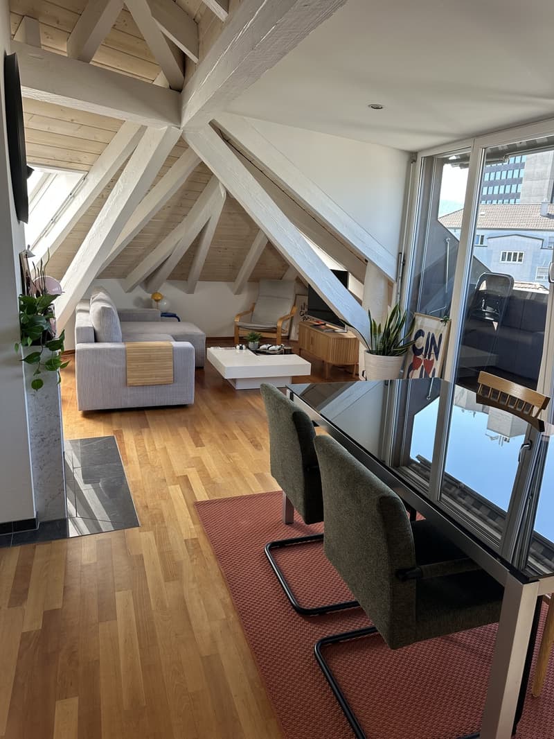 Bright Apartment near the Limmat (Kreis 6) (1)