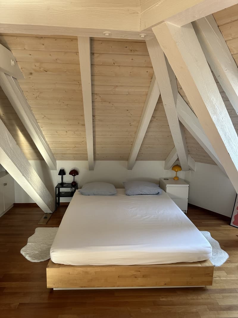 Bright Apartment near the Limmat (Kreis 6) (8)