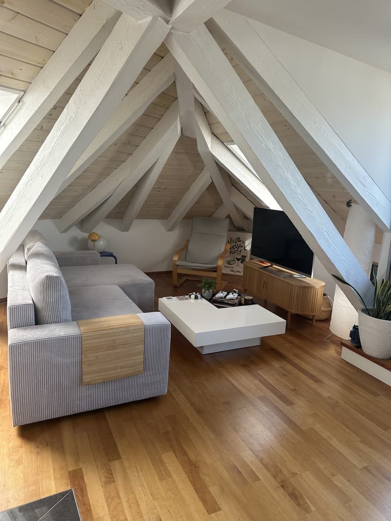 Bright Apartment near the Limmat (Kreis 6) (2)