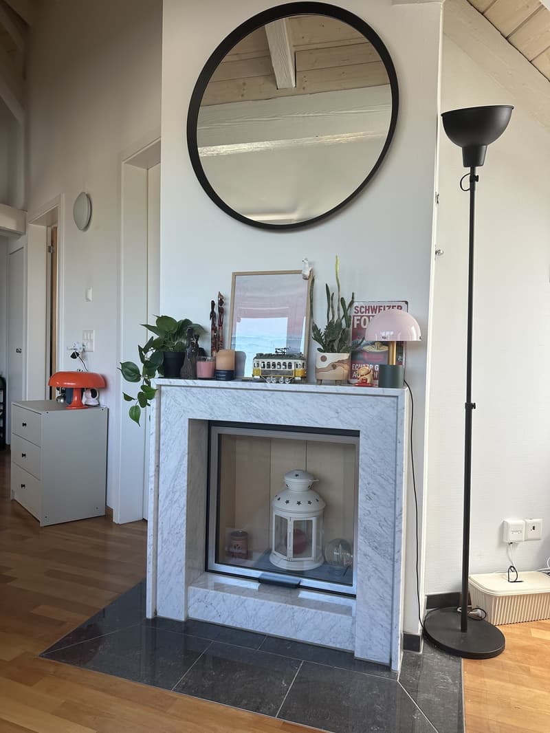 Bright Apartment near the Limmat (Kreis 6) (4)