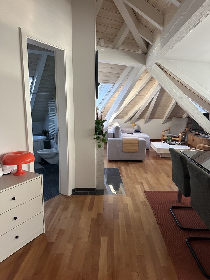 Bright Apartment near the Limmat (Kreis 6) (5)