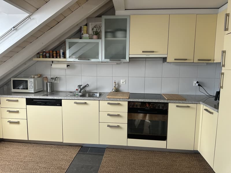 Bright Apartment near the Limmat (Kreis 6) (7)