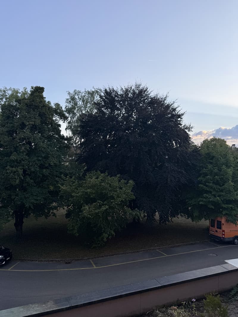 Helle 2-Zimmer-Wohnung an zentraler Lage in Winterthur (11)