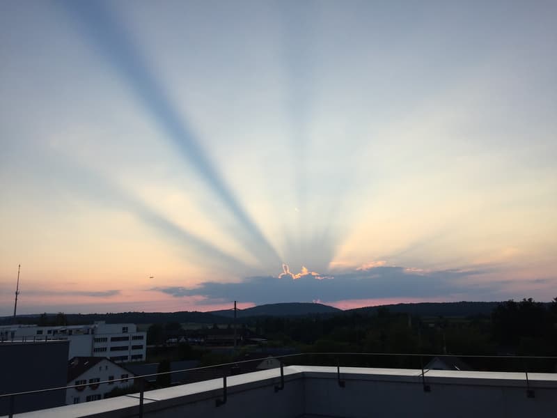Untermieterin gesucht: Helles & grosszügiges Zimmer (21 m²) in moderner Attikawohnung mit grosser Terrasse & tollem Ausblick (2er-WG, teilmöbliert) (9)