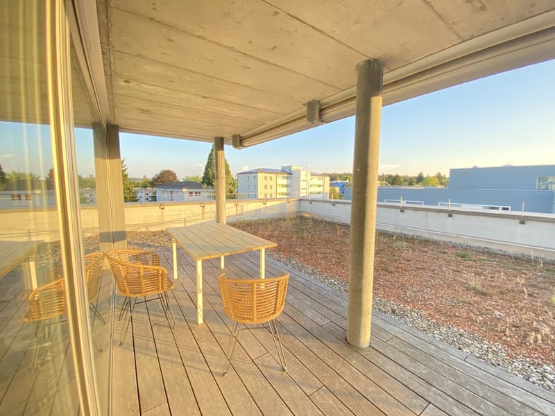 Untermieterin gesucht: Helles & grosszügiges Zimmer (21 m²) in moderner Attikawohnung mit grosser Terrasse & tollem Ausblick (2er-WG, teilmöbliert) (8)