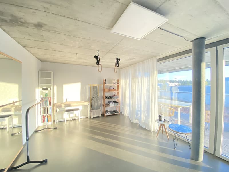 Untermieterin gesucht: Helles & grosszügiges Zimmer (21 m²) in moderner Attikawohnung mit grosser Terrasse & tollem Ausblick (2er-WG, teilmöbliert) (12)