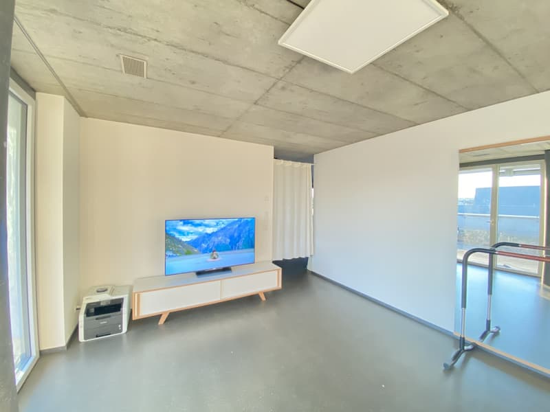 Untermieterin gesucht: Helles & grosszügiges Zimmer (21 m²) in moderner Attikawohnung mit grosser Terrasse & tollem Ausblick (2er-WG, teilmöbliert) (11)