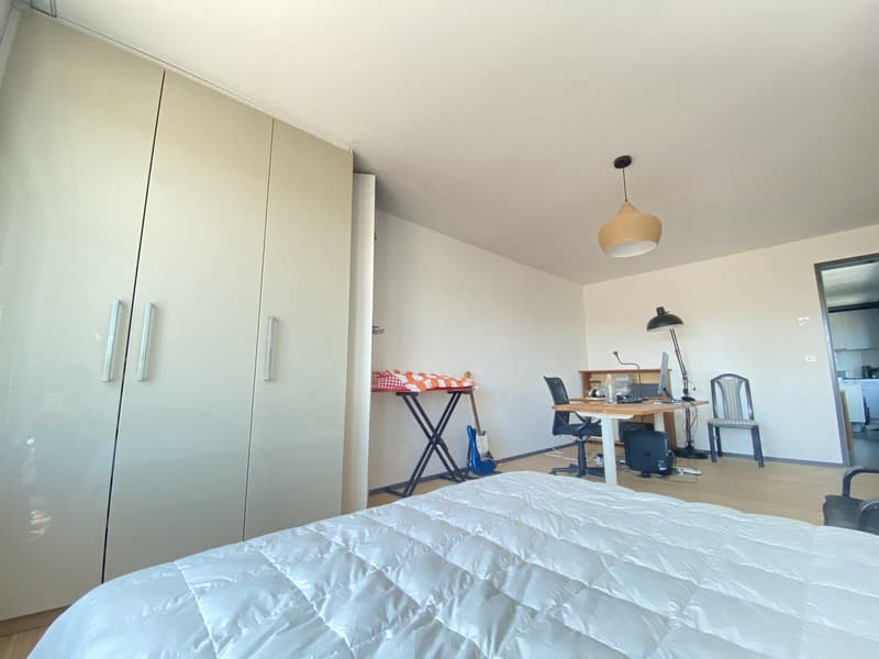 Untermieterin gesucht: Helles & grosszügiges Zimmer (21 m²) in moderner Attikawohnung mit grosser Terrasse & tollem Ausblick (2er-WG, teilmöbliert) (5)