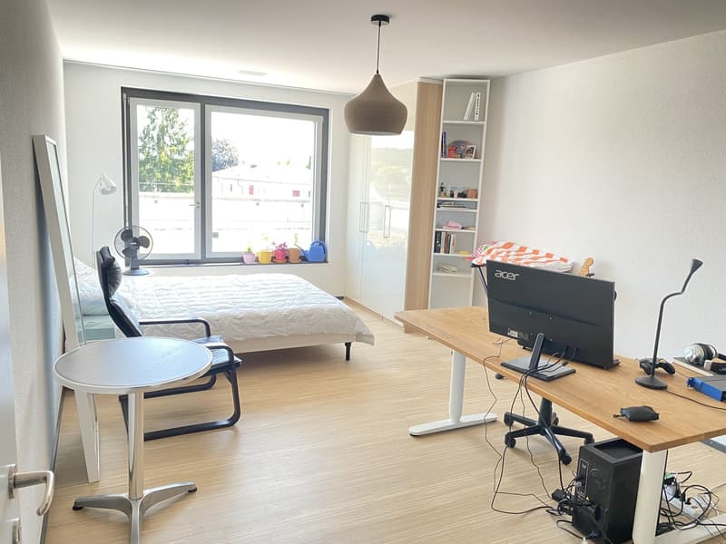 Untermieterin gesucht: Helles & grosszügiges Zimmer (21 m²) in moderner Attikawohnung mit grosser Terrasse & tollem Ausblick (2er-WG, teilmöbliert) (3)