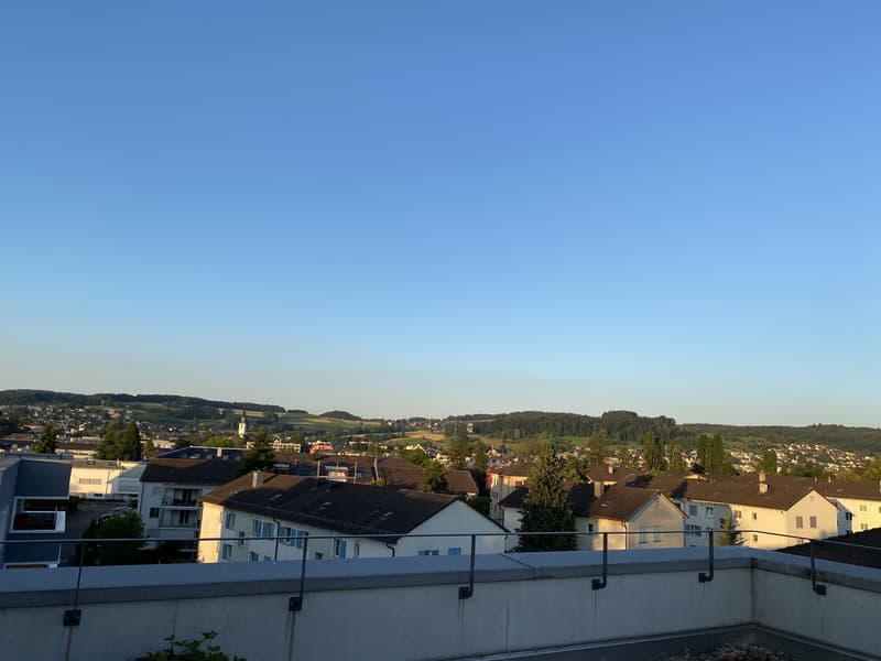 Untermieterin gesucht: Helles & grosszügiges Zimmer (21 m²) in moderner Attikawohnung mit grosser Terrasse & tollem Ausblick (2er-WG, teilmöbliert) (10)