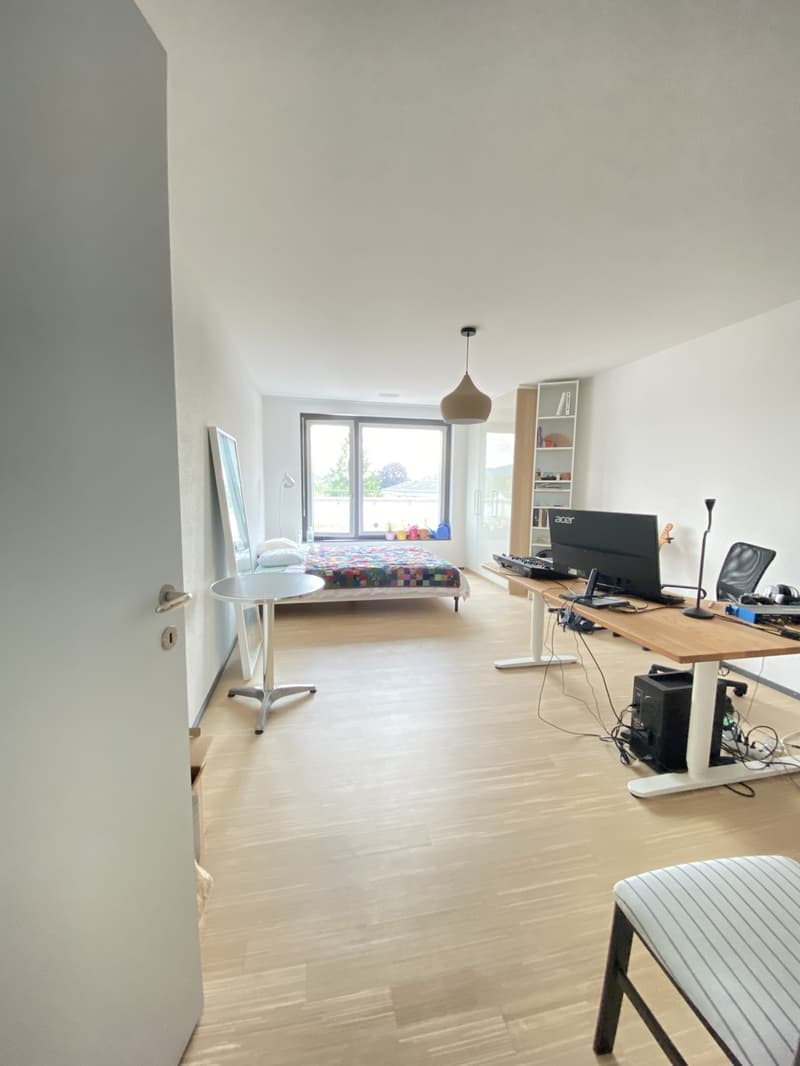 Untermieterin gesucht: Helles & grosszügiges Zimmer (21 m²) in moderner Attikawohnung mit grosser Terrasse & tollem Ausblick (2er-WG, teilmöbliert) (1)
