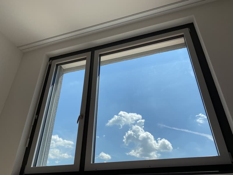 Untermieterin gesucht: Helles & grosszügiges Zimmer (21 m²) in moderner Attikawohnung mit grosser Terrasse & tollem Ausblick (2er-WG, teilmöbliert) (4)