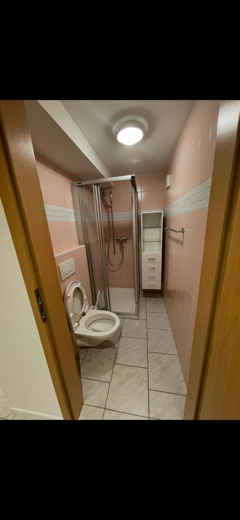 4 ½ Zimmer-Wohnung, 3855 Brienz (10)